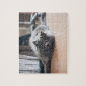 カスタマイズ ペット 猫 子猫 楽しい ジグソーパズル (縦)