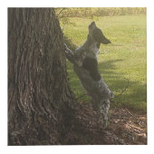 カスタマイズPhoto Cube フォトキューブ (右)