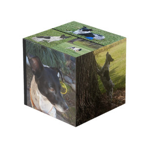 カスタマイズPhoto Cube フォトキューブ