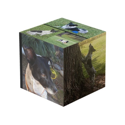 カスタマイズPhoto Cube フォトキューブ (正面アングル)