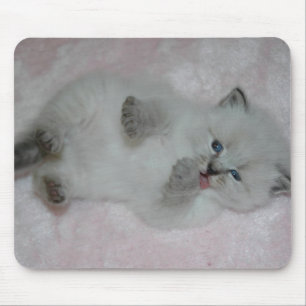カスタマイズSibKittenの最もかわいいマウスパッド- マウスパッド