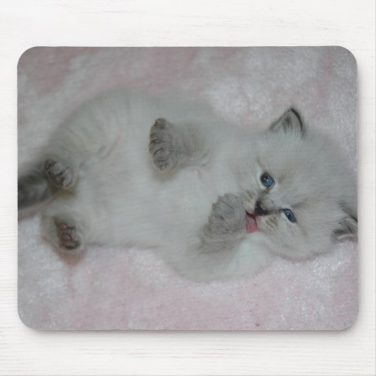 カスタマイズSibKittenの最もかわいいマウスパッド- マウスパッド (正面)