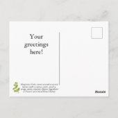 カスタマイズSweet Marjoramはがき ポストカード (裏面)