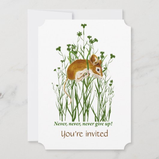 カスタムがん資金集めイベント招待状 招待状 (正面)