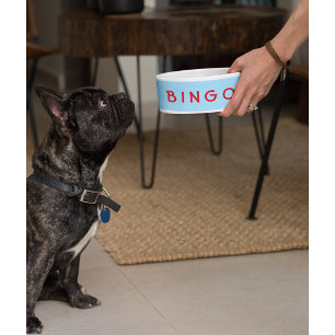 カスタムでパーソナライズな飼い犬猫の名前の食糧ボール ボウル