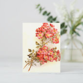 カスタムなばら色の花と分岐させて下さい ポストカード (スタンド正面)