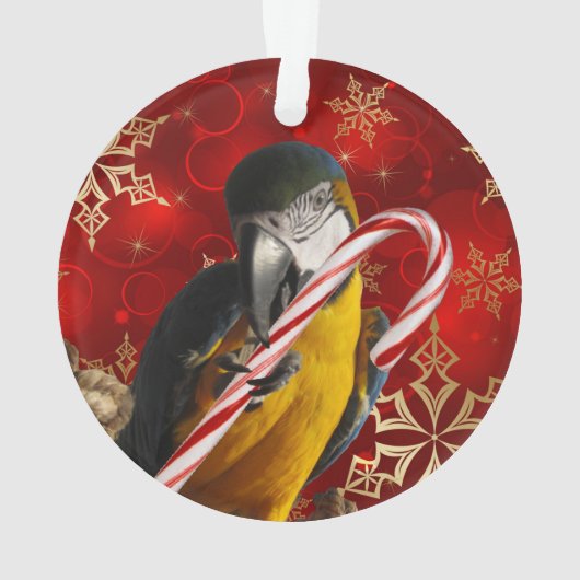 カスタムなオウムの写真のオーナメントの前部および背部 オーナメント (裏面)