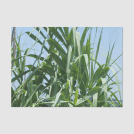 カスタムなティッシュペーパー 薄葉紙