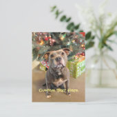 カスタムなピットブルのクリスマスの郵便はがき シーズンポストカード (スタンド正面)