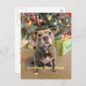 カスタムなピットブルのクリスマスの郵便はがき シーズンポストカード (正面/裏面)