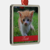 カスタムなペット写真および名前または日付 メタルオーナメント (右)