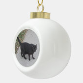 カスタムなペット写真のオーナメント セラミックボールオーナメント (右)
