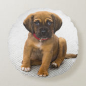 カスタムな名前入りあなた自身の飼い犬の写真を加えます ラウンドクッション (正面)