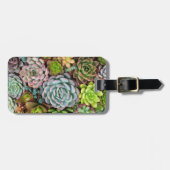 カスタムな文字のサボテンのSucculentsの荷物のラベル ラゲッジタグ (正面横)