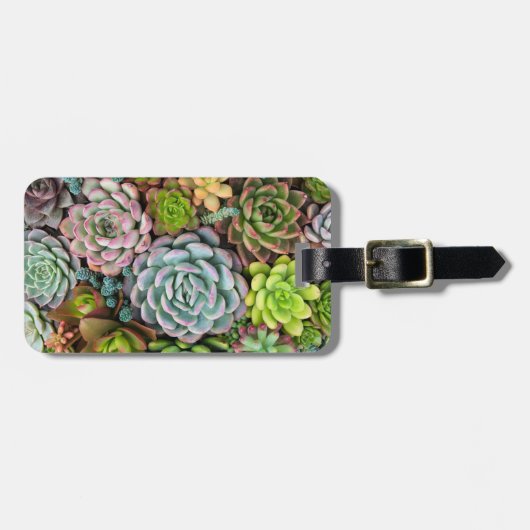 カスタムな文字のサボテンのSucculentsの荷物のラベル ラゲッジタグ (正面横)