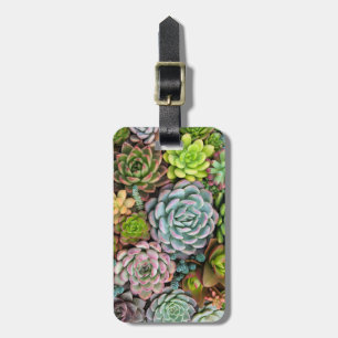 カスタムな文字のサボテンのSucculentsの荷物のラベル ラゲッジタグ
