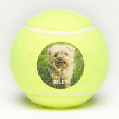 カスタムな犬ペット写真の名前の子犬の策略のおもちゃ テニスボール (裏面)