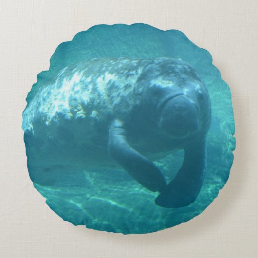 カスタムな等級綿の円形の装飾用クッション(16") ラウンドクッション (正面)