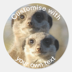 カスタムな組のMeerkats ラウンドシール