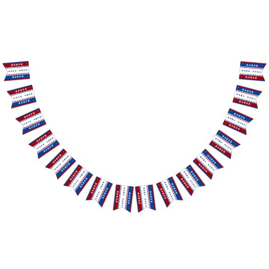 カスタムな選挙の旗 バンティングフラッグ (全)