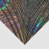 カスタムな10lbティッシュペーパー、孔雀の羽 薄葉紙 (詳細)