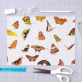 カスタムな10lbティッシュペーパー、白い蝶 薄葉紙 (クラフト)