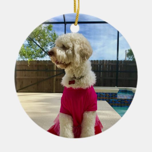 カスタムのフォトペット セラミックオーナメント (正面)