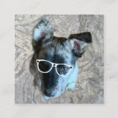 カスタムの気に職業が写真を追加 スクエア名刺 (正面)