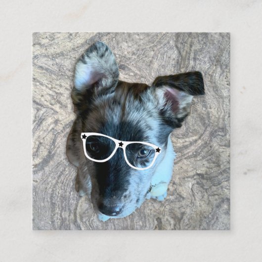 カスタムの気に職業が写真を追加 スクエア名刺 (正面)