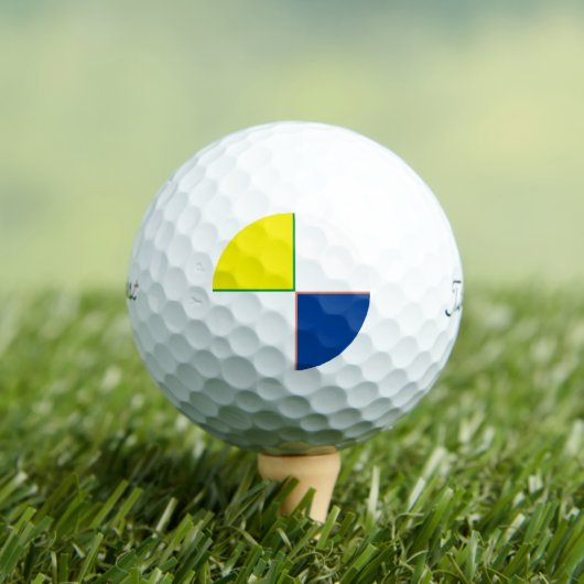 カスタムはっきりしたゴルフボール！Pro 2023 12パックゴルフ ゴルフボール (インサイチュ 木)