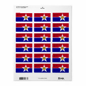 カスタムアメリカ合衆国ダラス州旗の付いたラベル ラベル (フルシート)