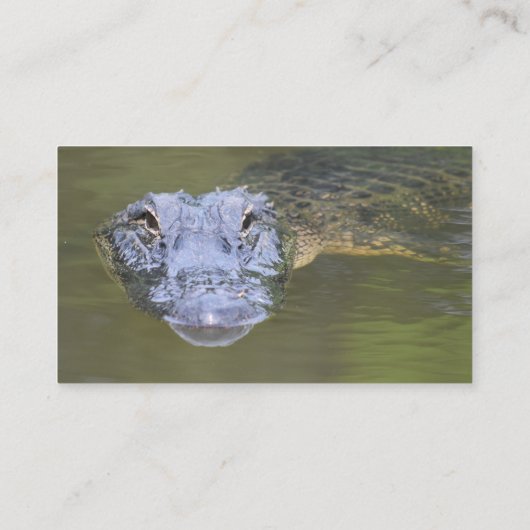 カスタムアリゲータースワンプアニマルワイルドライフ自然 名刺 (裏面)