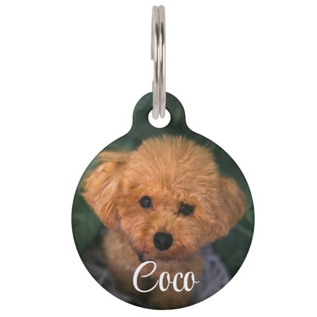 カスタムイメージドッグQRコード名ペットタグ ペット　ネームタグ (正面)