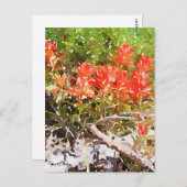 カスタムインディアン絵を描ブラシWildflower水色 ポストカード (正面/裏面)