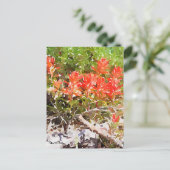 カスタムインディアン絵を描ブラシWildflower水色 ポストカード (スタンド正面)