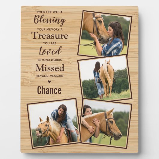 カスタムウマ科の形馬碑 フォトプラーク (正面)