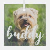 カスタムエレガントシンプルPetフォトガラスオーナメント ガラスオーナメント (正面)