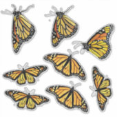 カスタムカットビニールシール – (昆虫)オオカバマダラ、モナーク蝶 シール (正面)