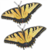 カスタムカットビニール – 2虎アゲハチョウ シール (正面)