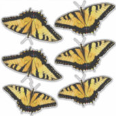 カスタムカットビニール – 6虎アゲハチョウ シール (正面)