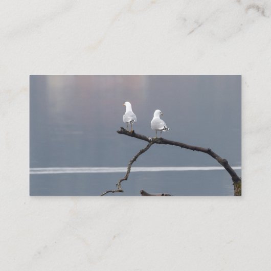 カスタムカモメ鳥類水湖野生生物自然 名刺 (裏面)