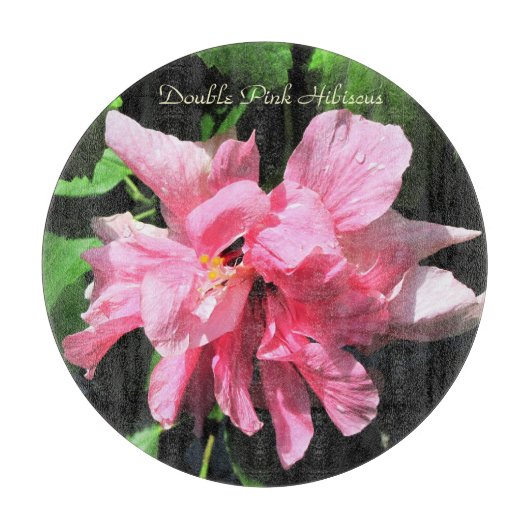 カスタムガラス丸板/五徳12インチ カッティングボード (正面)