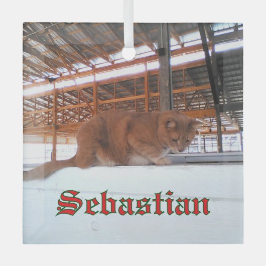 カスタムキャットガラスオーナメント ガラスオーナメント (正面)