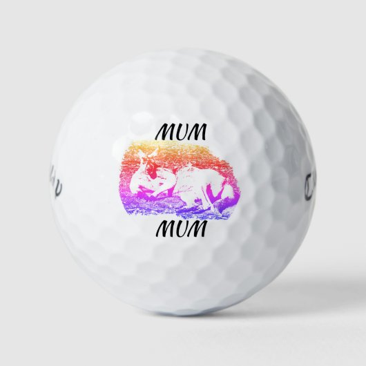 カスタムキャラウェイウォーバードゴルフボール ゴルフボール (正面)