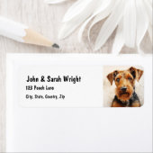 カスタムキュートアイレデールテリアドッグ住所 シール (インサイチュ)