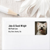 カスタムキュートウエストハイランドホワイトドッグ住所 シール (インサイチュ)