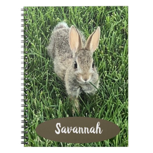 カスタムキュートコットンテールバニー ノートブック (正面)