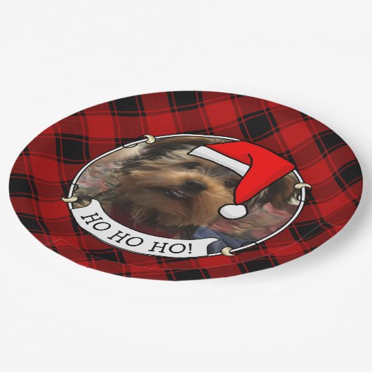 カスタムクリスマスフォトフレーム赤と黒の格子模様 ペーパープレート (アングル)