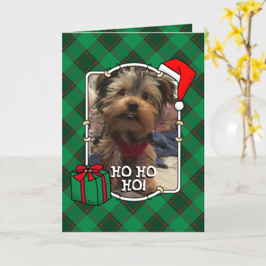 カスタムクリスマスペットフォトフレーム赤と緑の格子模様 カード (黄色い花)