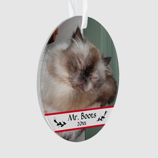 カスタムクリスマスホリデーペットの写真 オーナメント (正面)